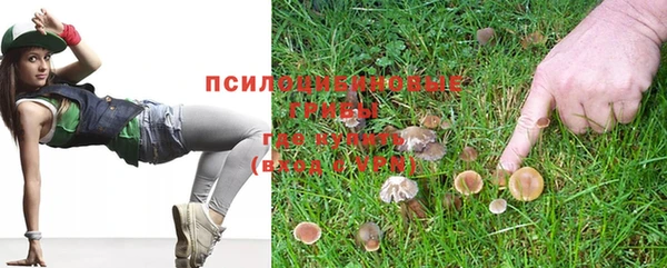 прущий лед Богородск