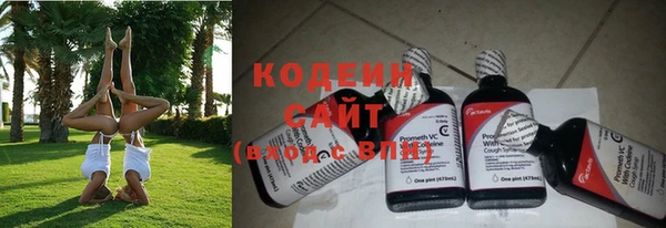 прущий лед Богородск